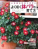 よく咲く鉢バラの育て方―いちばんわかりやすい (主婦の友αブックス)