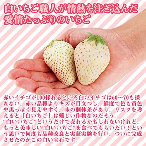 Amazon 佐賀県唐津産 大粒 白いちご 白い宝石 2パック 苺 イチゴ 贈答用 ギフト オーガニックサイバーストア いちご 通販 Amazon 佐賀県唐津産 大粒 白いちご 白い宝石 2パック 苺 イチゴ 贈答用 ギフト オーガニックサイバーストア いちご 通販