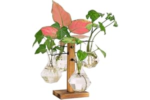 WASAIGGON Plant Propagation Stations Terrarium with Wooden Stand-Desktop Glass Bulb Plant Vase for Propagating Hydroponic Plants Home Garden Office Decor (Style 8)