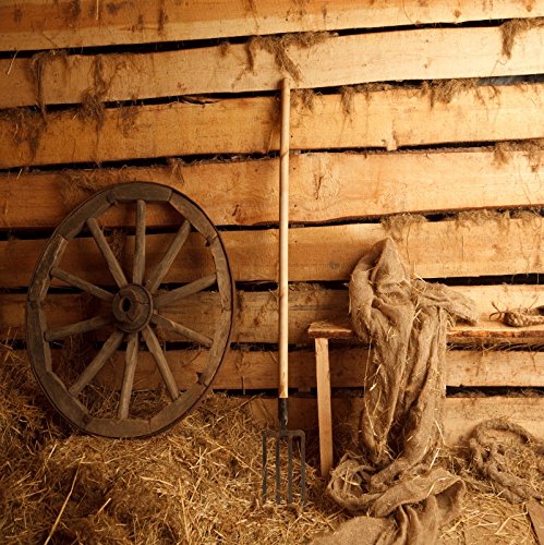 Galleon Ofila Farm Barn Backdrop 8x8ft Photography Background