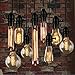 Edison Bulb, FadimiKoo Vintage Bulb 60W Dimmable A19 Squirrel Cage Filament Edison Lihgt Bulb for Home Light Fixtures Decorative, Pack of 6