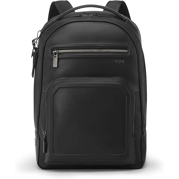 Amazon.com | TUMI - Alpha Bravo Davis Backpack - Alloy | Casual