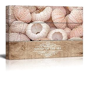 Marine Theme Beautiful Sea Urchin Wall Decor