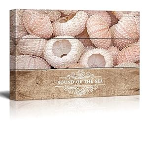 Marine Theme Canvas Wall Art - Beautiful Sea Urchin - Giclee Print Modern Wall Art | Stretched Gallery Wrap Ready to Hang Home Decoration - 12x18 inches