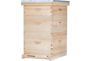 BEEINN Bee Hive Boxes 10 Frame Langstroth Beehive,Complete Beehive Kit Includes 2 Deep Brood Bee Hives Box, 1 Medium Super Bee Box with Beehive Frames and Foundation