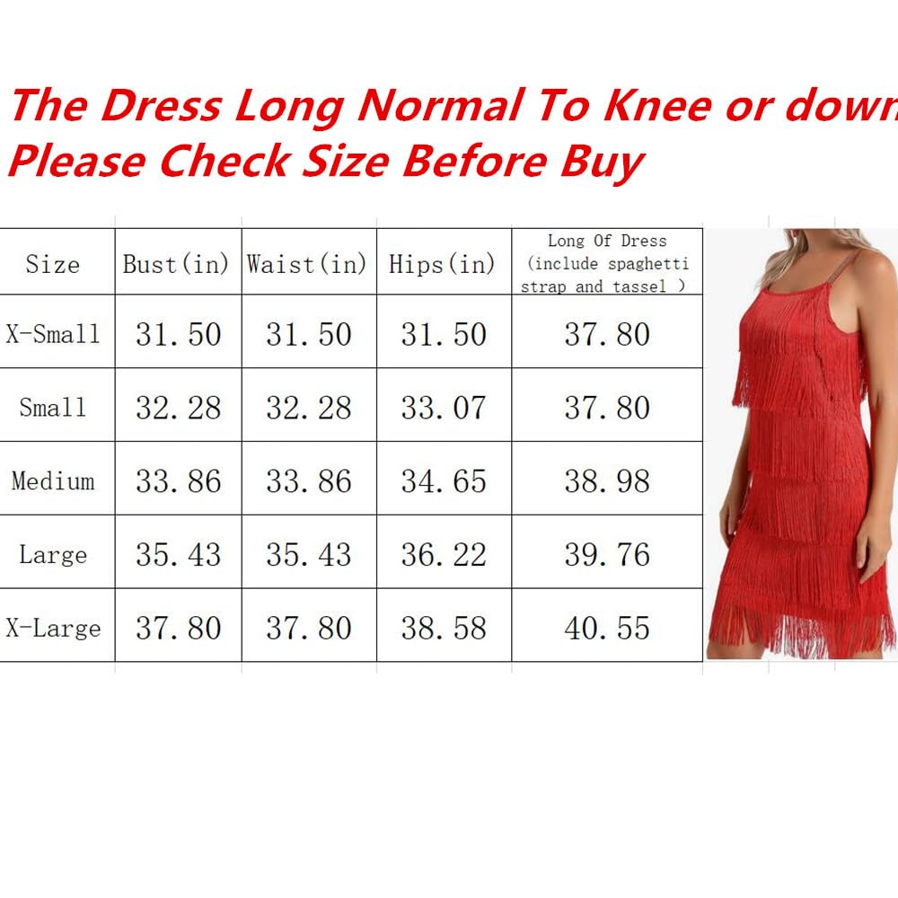 Generic Women's Great Gatsby Flapper Spaghetti Tassel Dress with Headband, 20s Elegant Mini Dress Party Accessory COSTUME OUTFIT (L, Black)