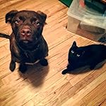 Review Image by Natalie