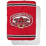 Jacksonville State University Primary Logo Stripes