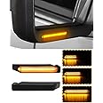 Aexploer Side Mirror Turn Signal Lights Compatible with F150 2004-2014/for Raptor 2010-2014/for Mark LT 2006-2008 (Dynamic Sequential Blinker Smoked Len)