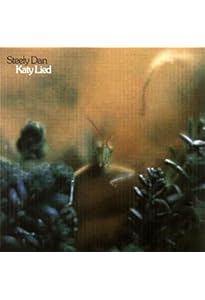 Amazon.com: Katy Lied: CDs & Vinyl