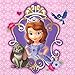 Sofia The First Party Pack for 16 Guests - 16 Dessert Plates and 16 Beverage Napkins
