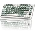 RK ROYAL KLUDGE M75 Wireless Mechanical Keyboard 2.4Ghz/BT5.1/USB-C Gaming Keyboard 75% Layout 81 Keys Gasket Mount with OLED Display & Knob RGB Backlight Hot-Swappable Viridian Switch, Green