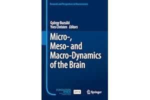 Micro-, Meso- and Macro-Dynamics of the Brain (Research and Perspectives in Neurosciences)