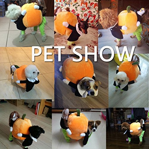 Funny Dog Clothes for Small Dogs, Carrying Pumpkin Halloween Fancy Jumpsuit Puppy Costume, with Cudd - //coolthings.us