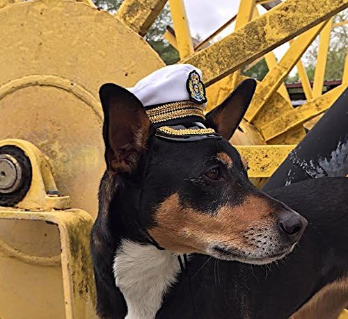 dog captain hat