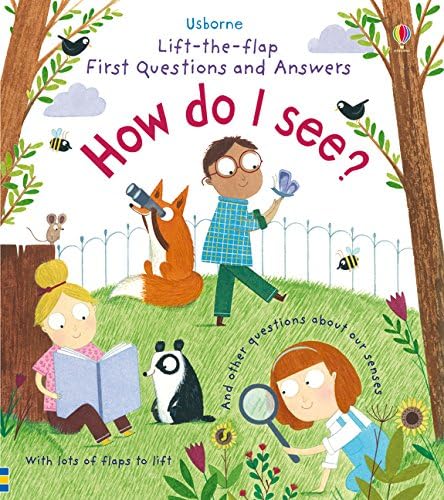 Lift-the-Flap First Questions & Answers How Do I See? (Lift-the-Flap First Questions and Answers): 1