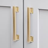 VEHCIL 10 Pack Square Brushed Brass Cabinet
