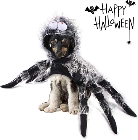 spider dog costume amazon