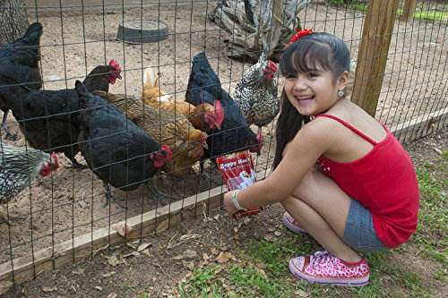 HAPPY HEN TREATS MEALWORM FRENZY, 3.5-OUNCE