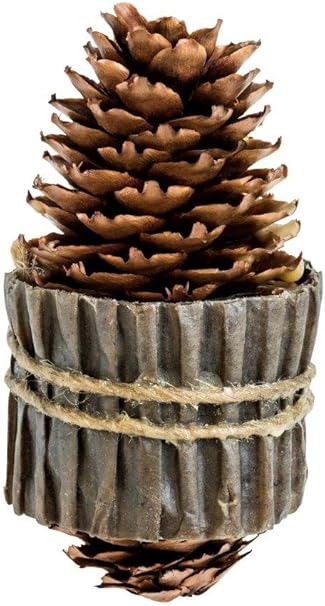 100 Allume Conefire Pommes De Pin Pour Cheminee Et Allume Barbecue Allume Cheminee Amazon Fr Bricolage