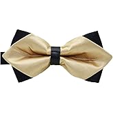 Flairs New York Gentleman's Diamond Pointed Pre-Tied Bow Tie