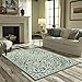 Maples Rugs Area Rug - Pelham 7 x 10 Large Area Rugs [Made in USA] for Living Room, Bedroom, and Dining Room, Light Spa