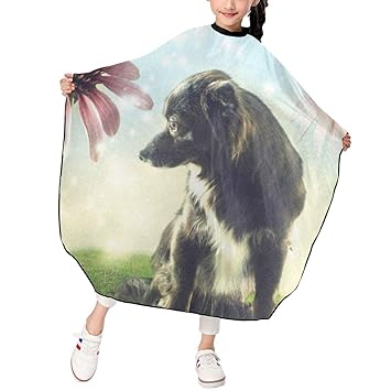Amazon Com Black Dog In Field Kids Haircut Professional Home
