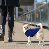Jodsen Small Dog Jumper Warm Puppy Sweater Knitted Pullover XS Blue view 4