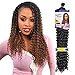Synthetic Hair Braids FreeTress Water Wave Bulk 22