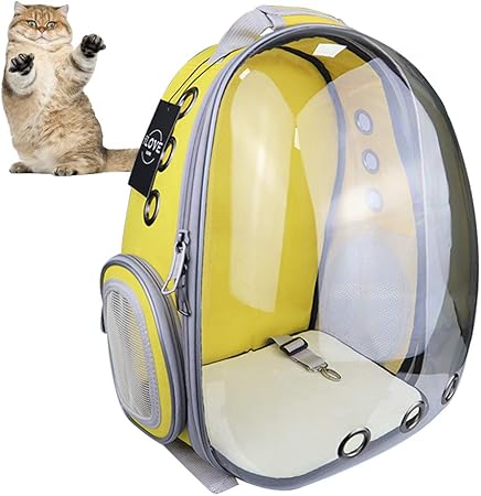 cat transparent backpack