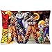 Dragon Ball Z Anime Manga Japan Pillowcase Pillow Case Cover Standard 20x30 (Two Sides)