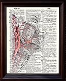 Human Face and Arteries - Dictionary Art Print Printed On Authentic Vintage Dictionary Book Page - 8 x 10.5