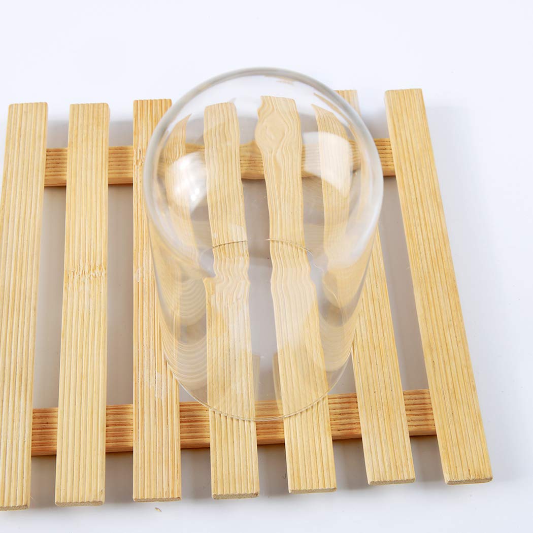 Beauty and The Beast,FunPa 3PC Forever Flower and Warm White LED Light with Fallen Petals in Glass Dome on a Wooden Base Best Gift for Valentine\'s Day Birthday Anniversary Valentine\'s Day