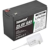 Talentcell 24V 6Ah LiFePO4 Battery Pack LF8011, 25.6V 153.6Wh Deep Cycle Rechargeable Lithium Iron Phosphate Batteries with C