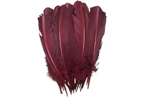 XKTEI 24Pcs Burgundy Turkey Feathers 10~12 inch,Beautiful Long Feather for Crafts,Bulk Big Size Bilateral Natural Feather,for Wedding Dress and Party Decoration,DIY Fabricating Handicraft Article (Burgundy)