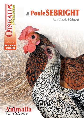 La poule Sebright by Jean-Claude Périquet