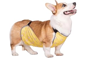 IUOUTG Short Leg Dog Waterproof Belly Cover Dog Rain Protection Vest with Adjustable Straps Belly Wrap for Active Pet Rainy W