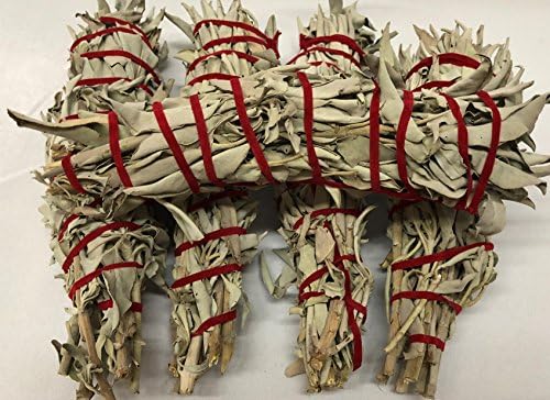 SAGE BUNDLE 9 inch long sage bundle of dried organic wild white Californian sage.