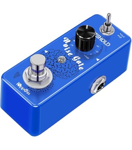 ギター CARL MARTIN noise terminator Amazon.com: Carl Martin Noise Terminator : Musical Instruments