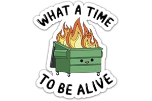 FANILA (3 Pcs) - What a Time to be Alive Sticker, Funny Burning Dumpster Fire Meme, Cute Trash Bin - Decoration Gift for Car Bumper Water Bottle Laptop Window Helmet, Stickers 3''x4''