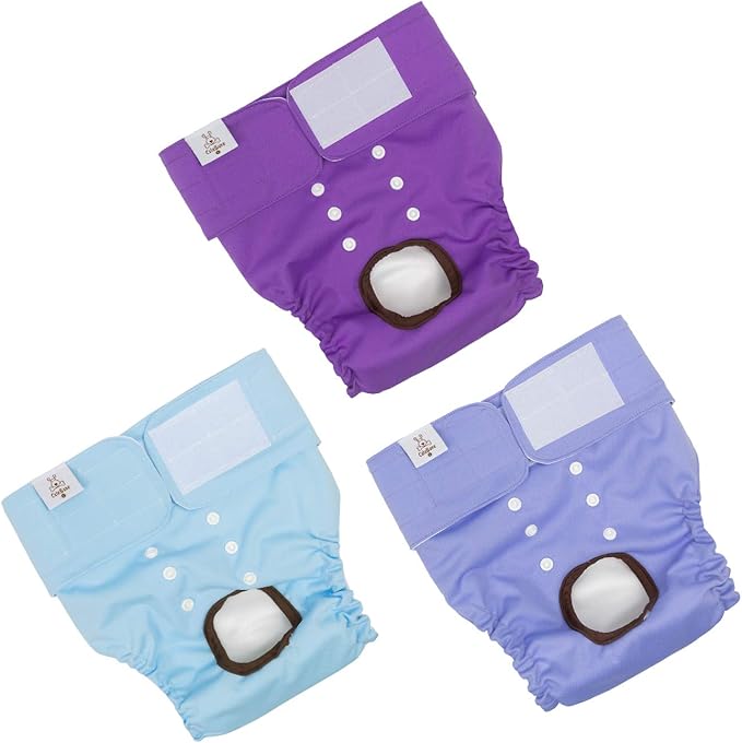 The Best Diapers For Dogs In Heat Reviews & Buying Guide