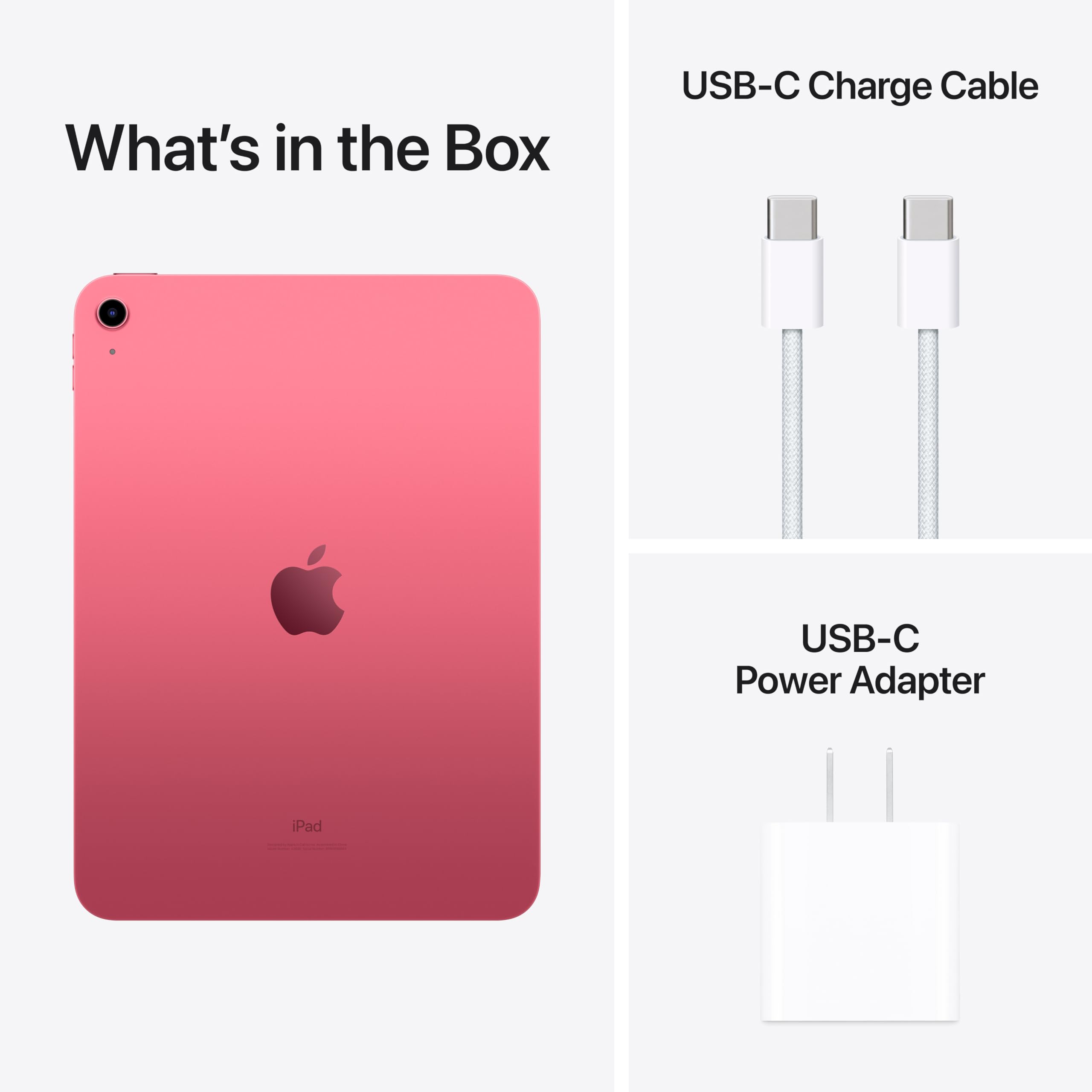 Apple iPad (10th Gen)