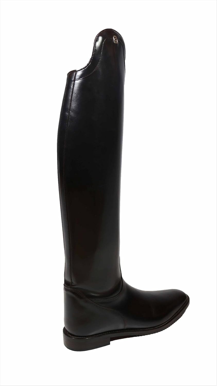 cavallo insignis comfort