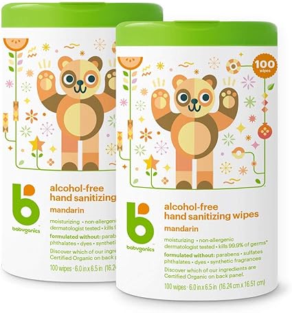 babyganics alcohol free hand sanitizer