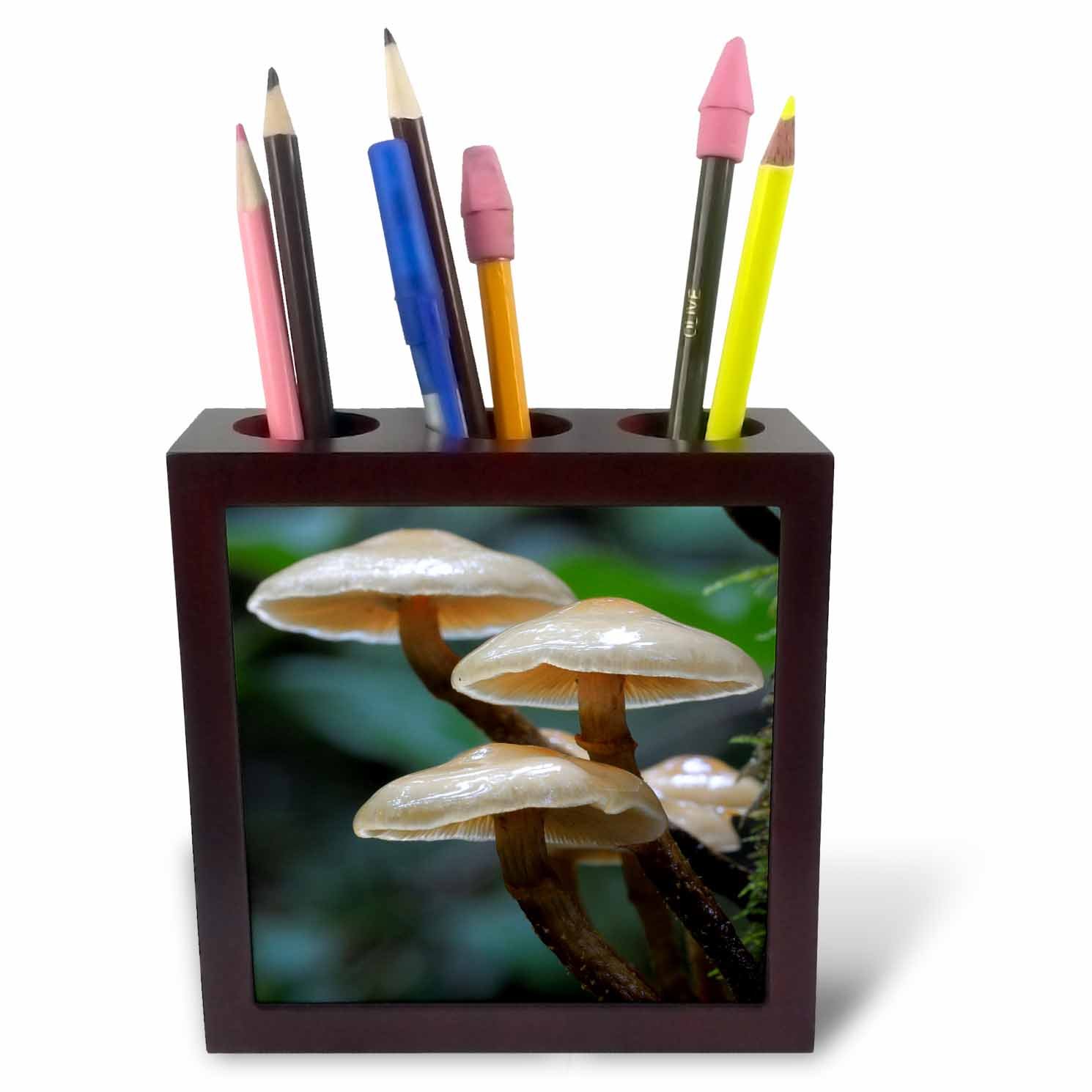 3dRose ph_226775_1 5-Inch "Small Canada/Vancouver Mushrooms" Tile Pen Holder - Brown