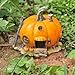 Top Collection Miniature Fairy Garden and Terrarium Orange Pumpkin Fairy House Statue, 4 by 4.5-Inch