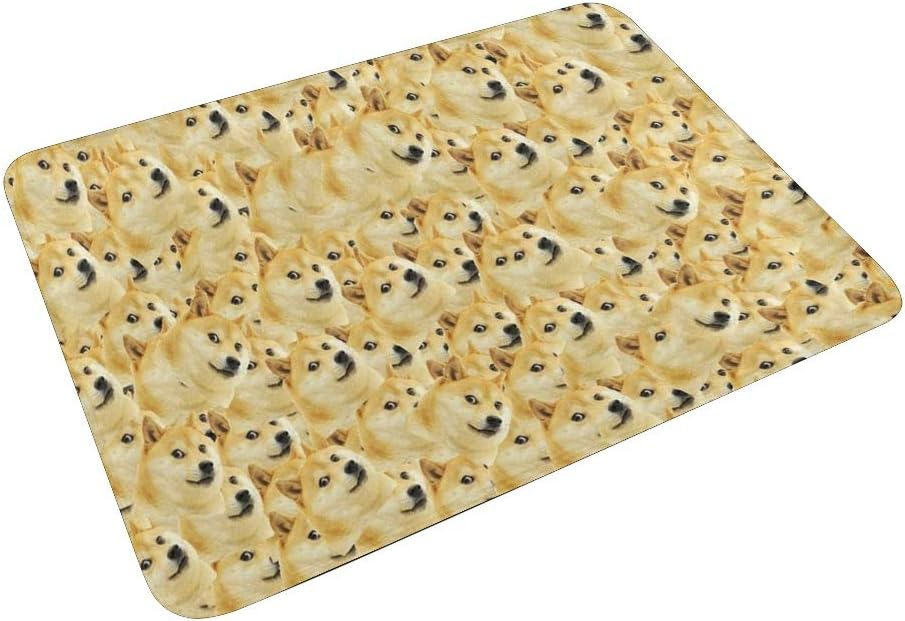 CUXWEOT Indoor Outdoor Doormat Non-Slip Backing Ultra Absorbent Mud Wonderful Waterfall Rainbow Door Mat Home Office Decorative Entry Rug Garden Kitchen Mats 23.6 x15.7 Inch : Garden & Outdoor