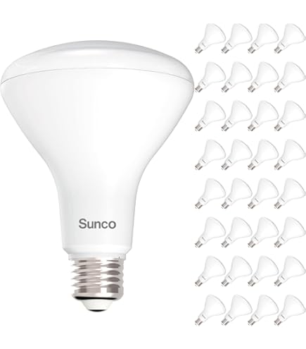 Sunco 48 Pack BR30 Light Bulbs LED, Recessed Can Light Bulbs 
