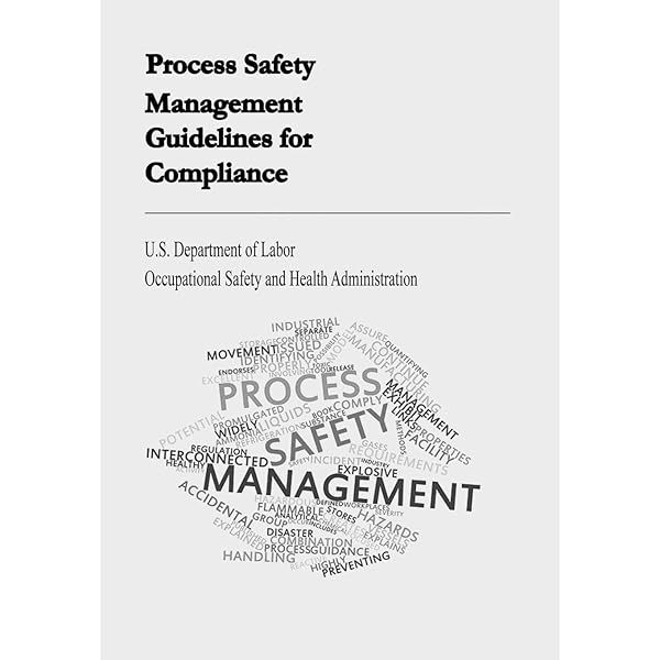 洋書 Guidelines for Risk Based Process Safety Guidelines for Risk Based Process Safety: CCPS (Center for