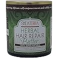 Shea Terra Organics Hair Repair Herbal Butter | Natural Hair Restoration and Dry Itchy Scalp Treatment - Rinse Out or Leave-In Conditioner - 4 oz